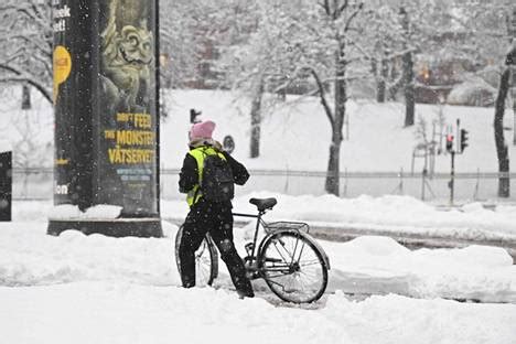  Tähdennousu: Kuvitteellinen Maailma 1200-luvun Kolumbian Taiteessa